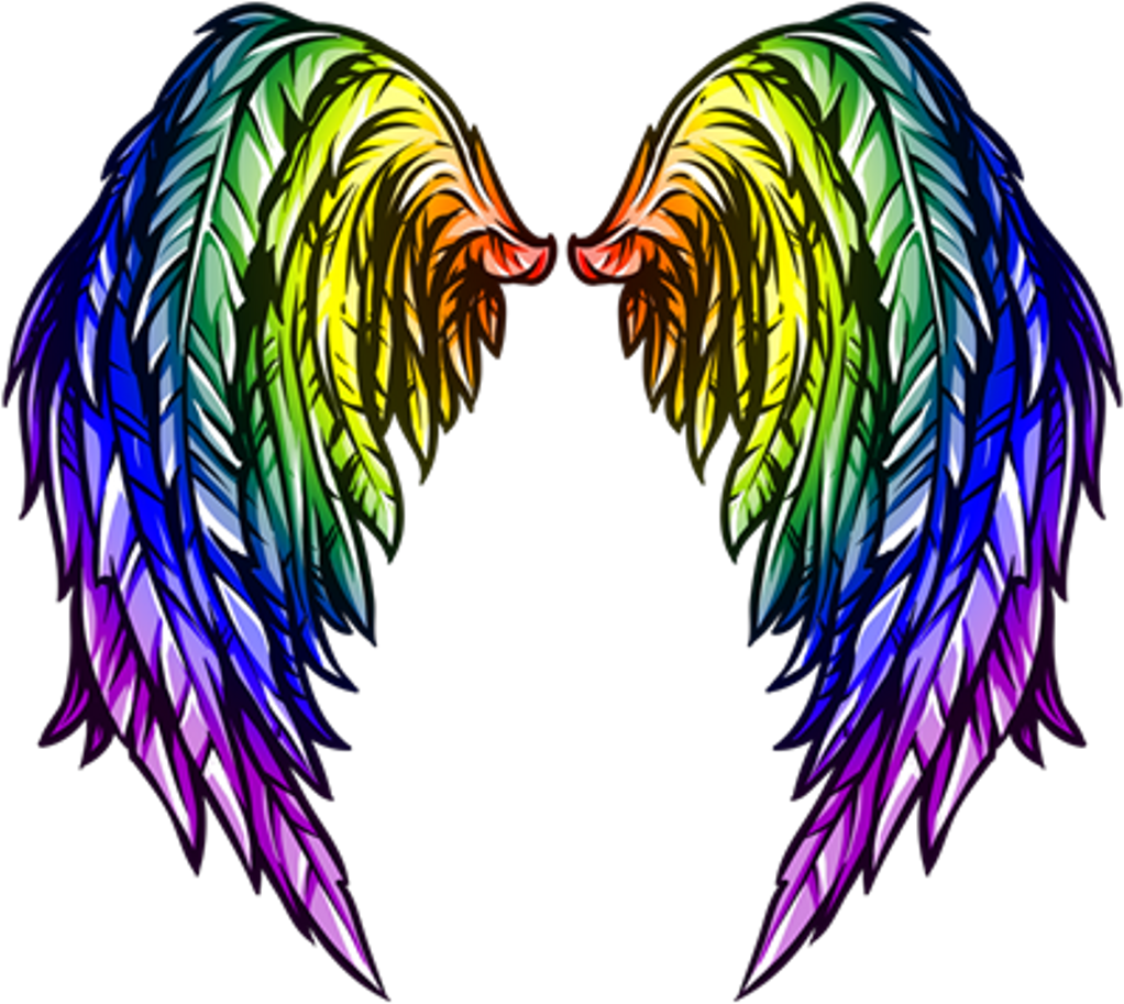 Wings Wing Angelwings Angel Fairywings Fairy Fairies - Pink Angels Wings Png (1024x1024)