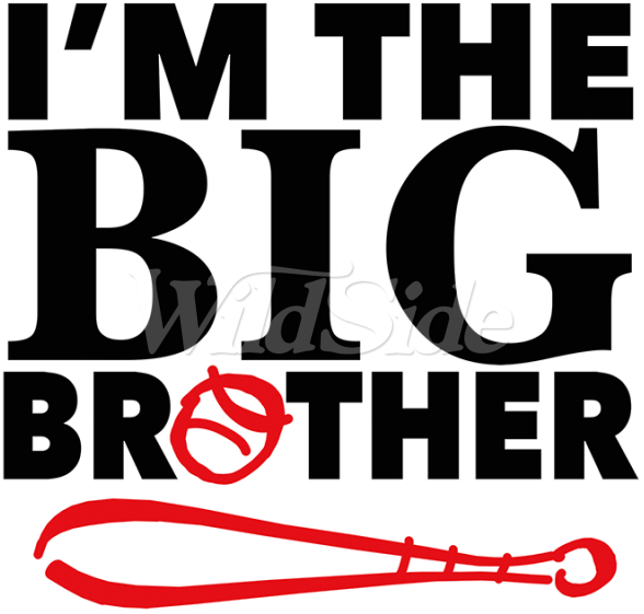 I'm The Big Brother - Decal (600x600)