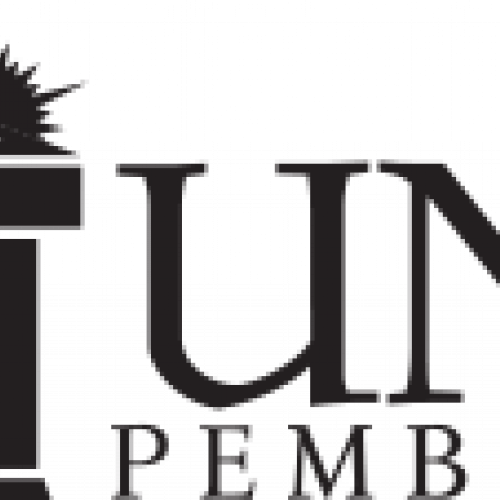 Uncp Health And Wellness Fair - University Of North Carolina At Pembroke (500x500)