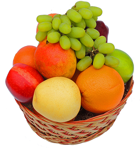 Fruit Basket (500x500)
