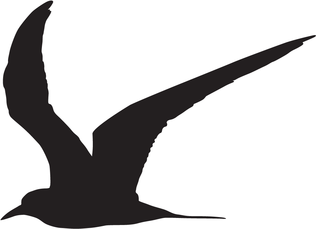 Black Tern - Common Tern Silhouette (1024x1024)