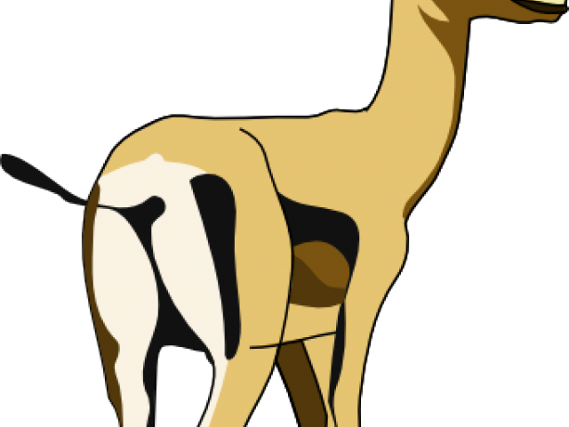 Oryx Clipart African Animal - Die Hyäne, Die 2 Antilopen Jagt Grußkarte (640x480)