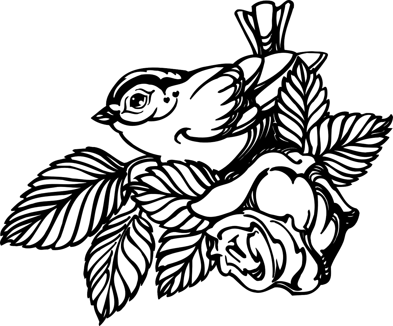 Free Stock Collection Of Free Branch - Rose And Bird Draw (1280x1062)