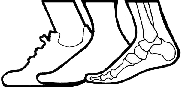 Clip Transparent Library Ankle Drawing - Elkhart (606x292)