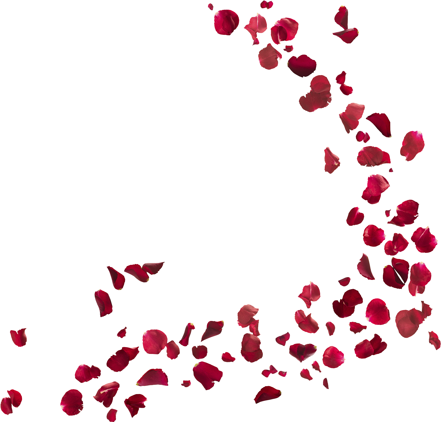 Novelas Tv Votre Coeur Bat Plus Fort Netflix Clip Art - Rose Petals Png (1600x1600)