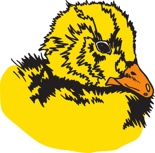 Duck (600x592)