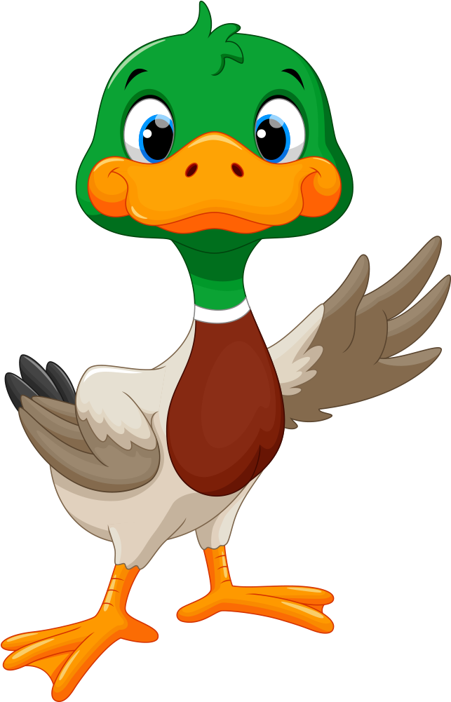 Clip Art Lovely Transprent Png Free - Cute Mallard Duck Clipart (1000x1000)