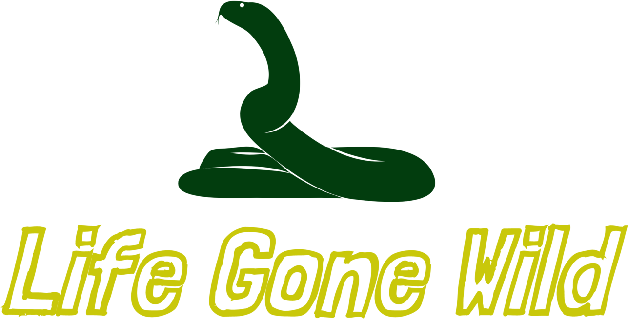 Tales Of Camouflage And - Life Gone Wild (1500x910)