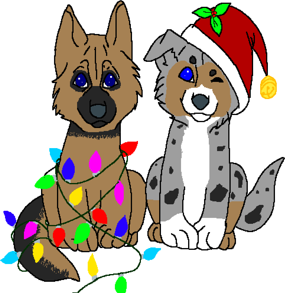 German Shepherd And Australian Shepherd - German Shepherd (1000x1000)
