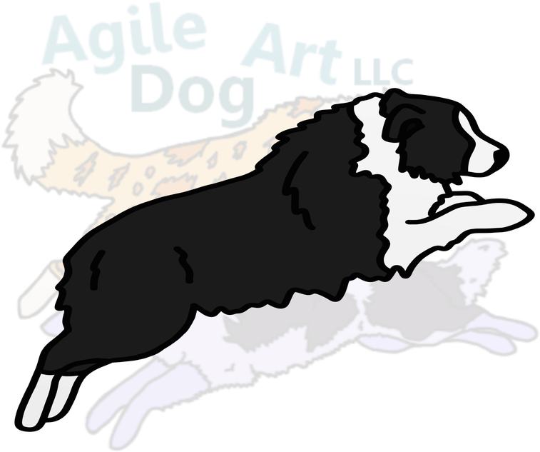 Australian Shepherd - Dog Catches Something (800x800)