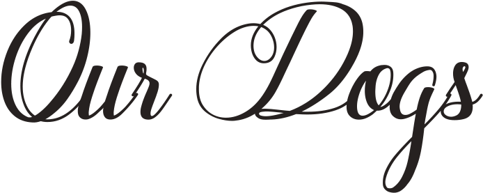 Stürzen Durch Das Schnee-vintage Bauernhaus-kissen (1200x400)