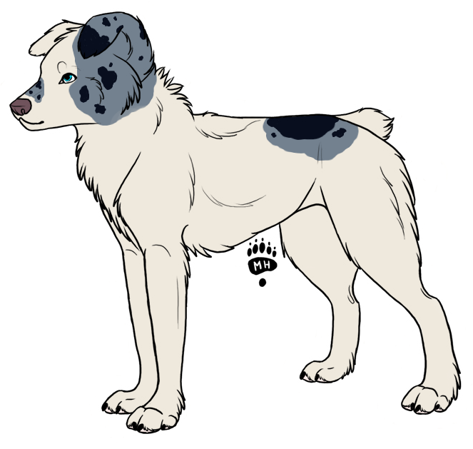 What Ya'll Think I Can Do Requests Nothing Too Hard, - Ancient Dog Breeds (693x638)