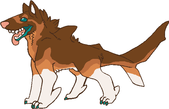 Australian Shepherd X Reef Shark - Cartoon (556x399)