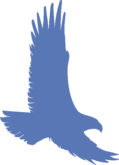 Eagle - Blue Eagle Silhouette (465x646)