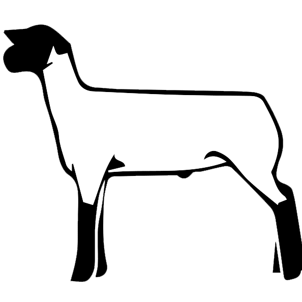 Free Show Lamb Clip Art - Club Lamb (600x600)