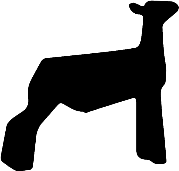 Free Show Lamb Clip Art - Show Sheep Clip Art (650x600)