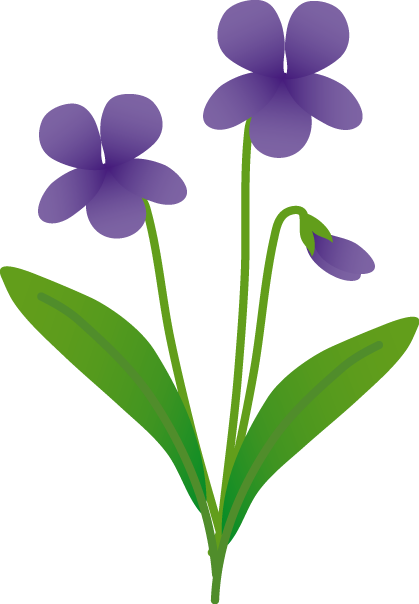 Illustration Violet - すみれ イラスト (419x604)