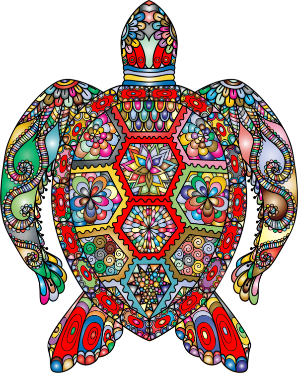 All Photo Png Clipart - Sea Turtles From Above (600x750)