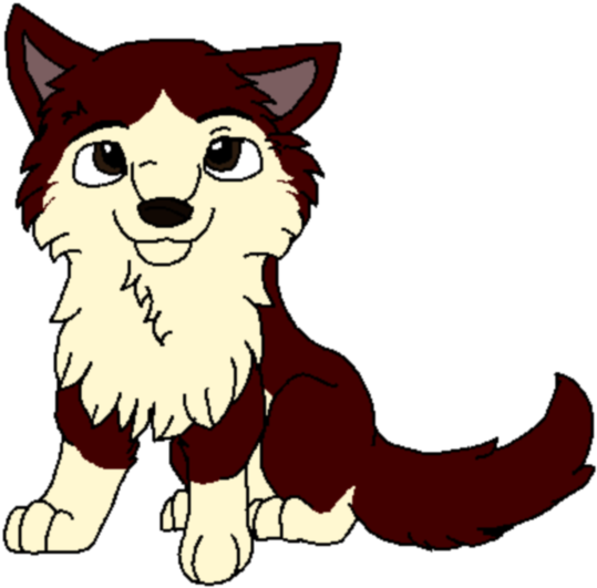 Source Collab Dingofinishedpng - Cat (1000x744)