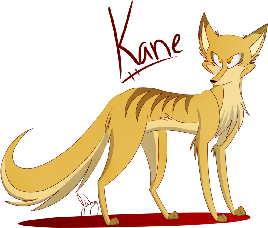 Picture Free Stock Got Us A Dingo Mates By Imajenink - Dog (996x802)