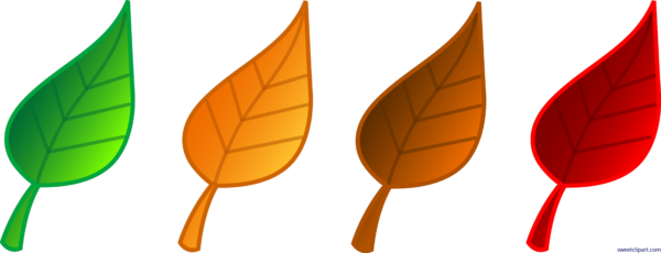 Red Archives - Fall Leaves Clip Art (600x230)