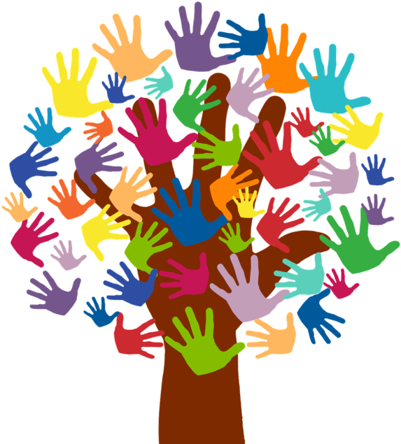 Volunteer Information - Volunteer Tree (1024x683)