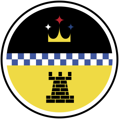 Free Download Of Pittsburgh Steelers Vector Logos - Logos And Uniforms Of The Pittsburgh Steelers (380x380)