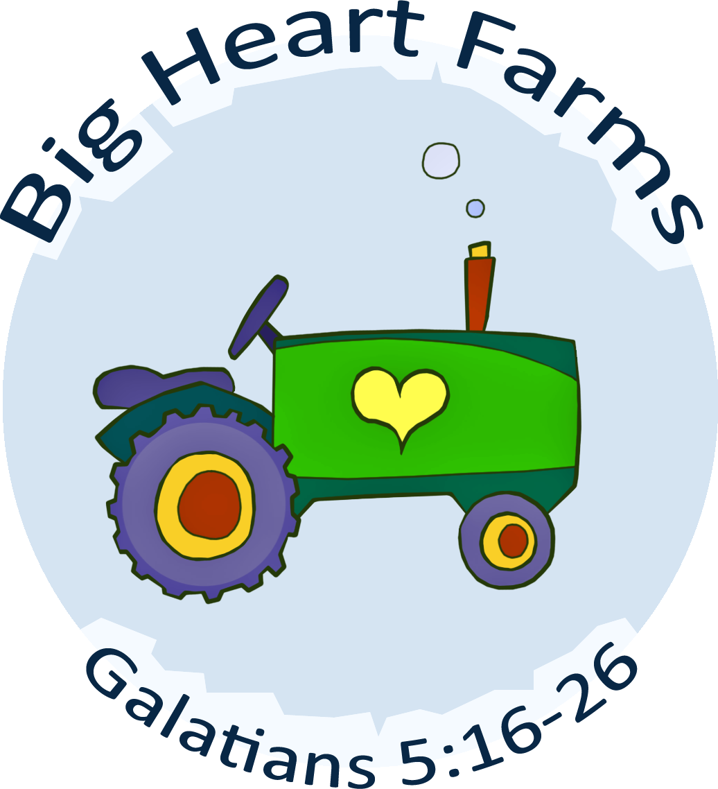 First Baptist Church Of Franklin Vacation Bible School - First Baptist Church Of Franklin Vacation Bible School (1036x1138)