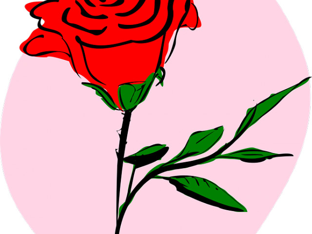 Red Flower Clipart Valentines - Rose Clipart Png (640x480)