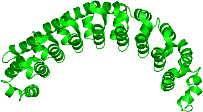 <div Class='caption-body'>1 Copy Of Cath Domain - Protein Data Bank (800x800)