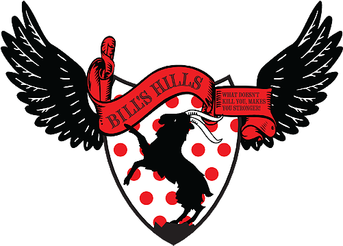 If You're Interested We'll See You At - Uncut Diamond Necklace Price (500x365)