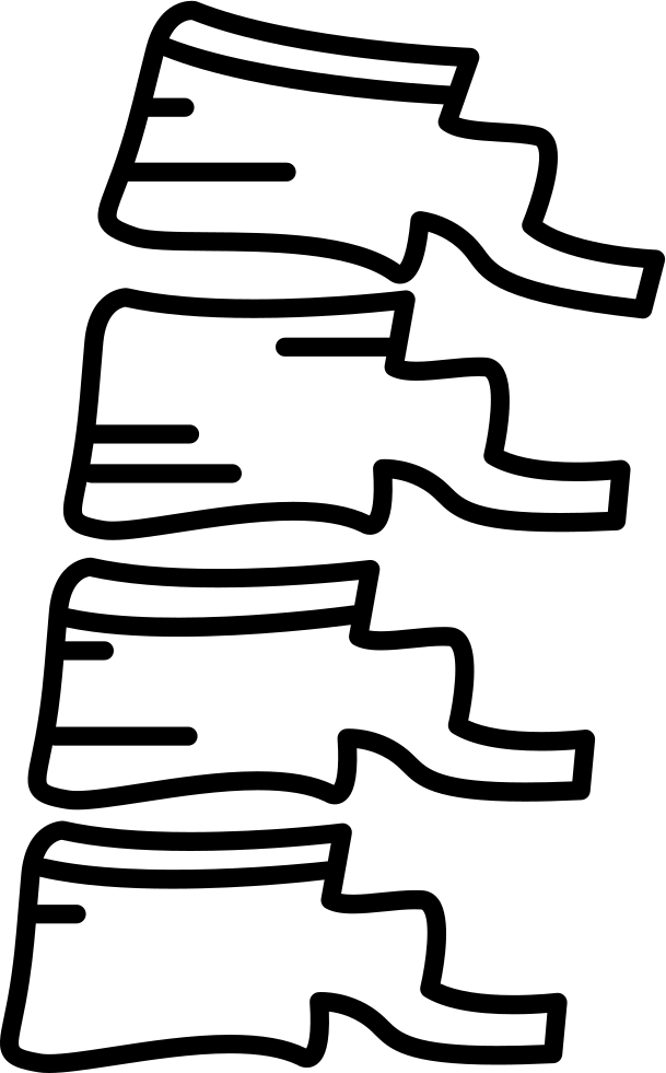 Bone Png Icon Free Download Onlinewebfonts Com - Vertebral Column (609x981)