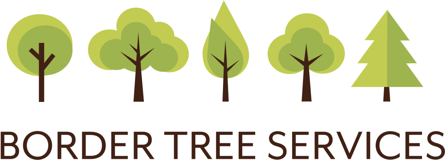 Border Tree Services - Border Tree Services (1500x567)