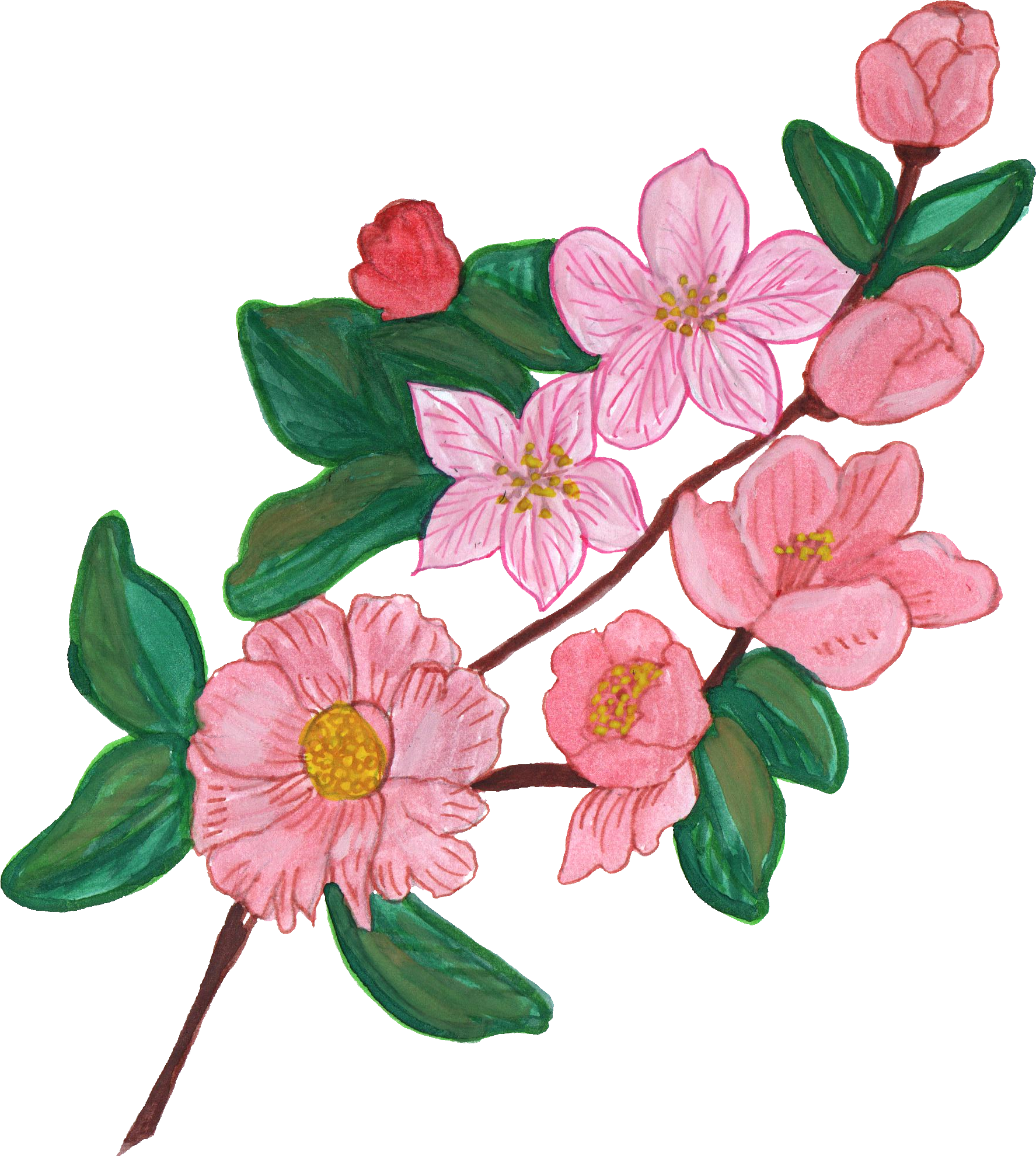Go To Image - Flower Paint Png (1775x1980)