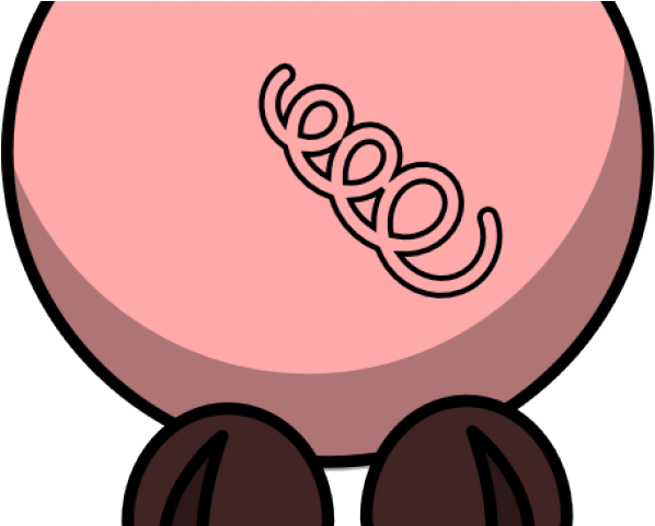 Pig Tail Clip Art (640x480)