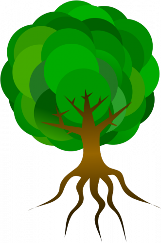 Simple Tree, Tree Branches, Roots, Clip Art, Skeleton, - Cartoon Tree With Roots (331x500)