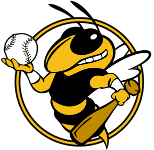 Eldred Little League - Georgia Tech (500x300)