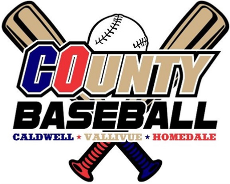 Cocounty Youth Baseball League - Volleyball (960x365)