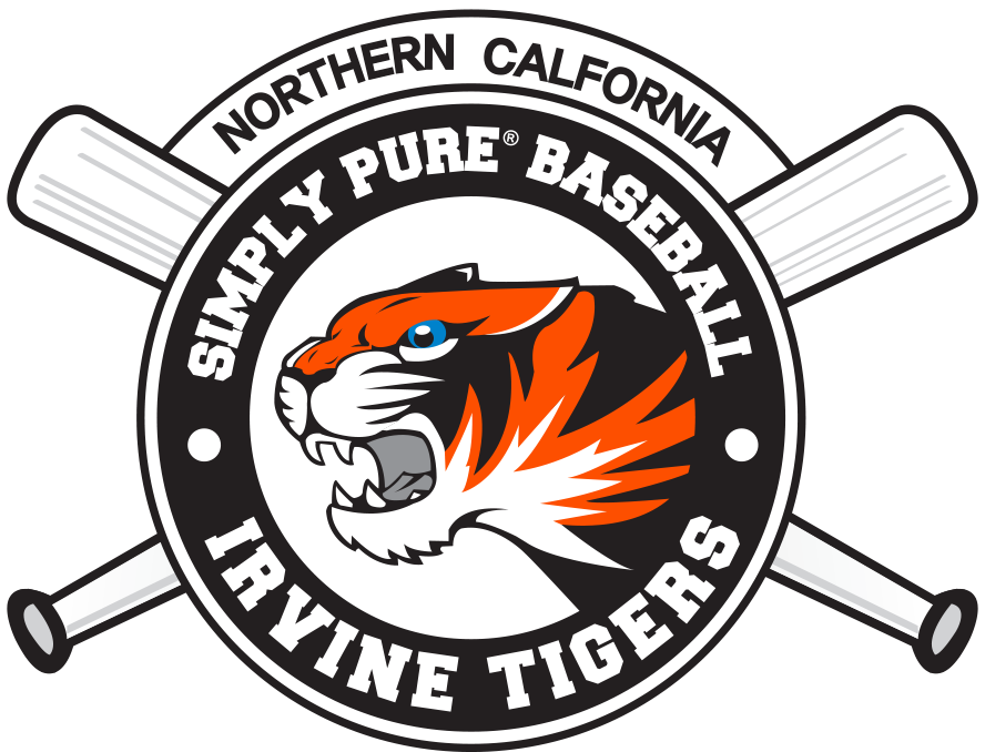 Tigers Baseball Logo - Baseball Tigers Png (888x678)