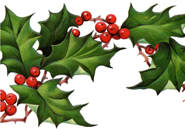 Holley Clipart December - Holly Png (640x480)