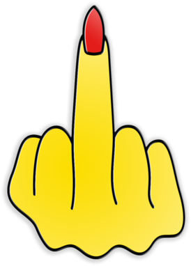 Middle Finger Png Accessorize Me Sorry I Have No Filter - Finger (564x600)