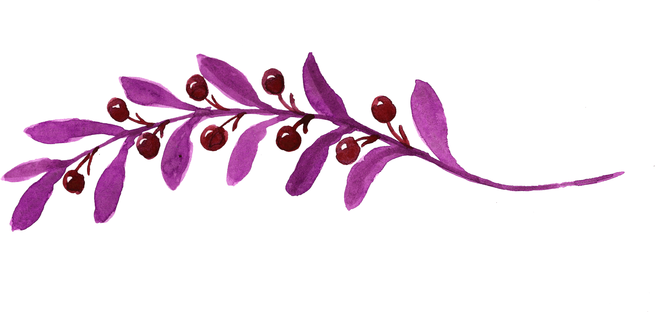 Plan Simply By Cj Wedding Planner Tucson - Twig (2480x1111)