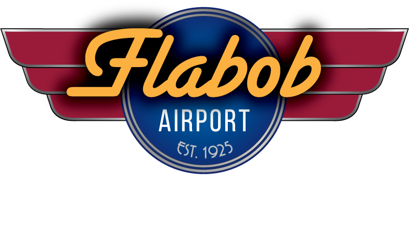 1420embr Flaboblogo White Web Vf - Take Flight Overcoming Mental Illness [book] (799x447)