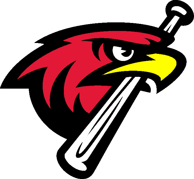Hawk Clipart Nighthawk - Air Force Falcons Baseball Team (660x608)