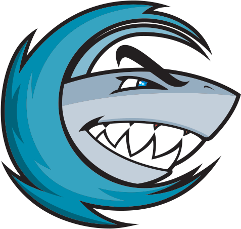 Clipart Shark Eye - Decoration Vinyl Stickers Shark Surfer R Decoration (600x600)