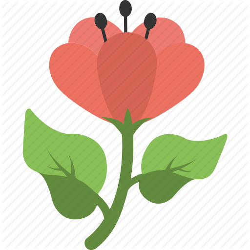 Greenery Vector Flower Bouquet Picture Library Download - Library (512x512)