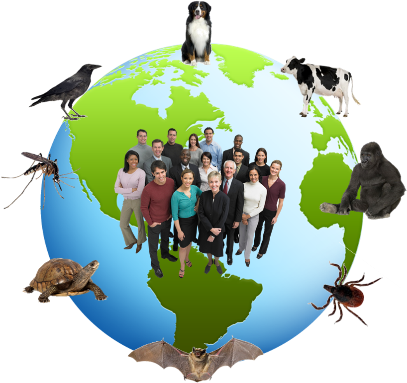 Zoonotic Diseases Clip Art Guide Trade Clip Art - Lead People & Manage Everything Else (827x817)
