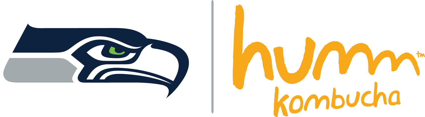 Seattle Seahawks And Humm Kombucha - Seattle Seahawks Logo (1713x472)