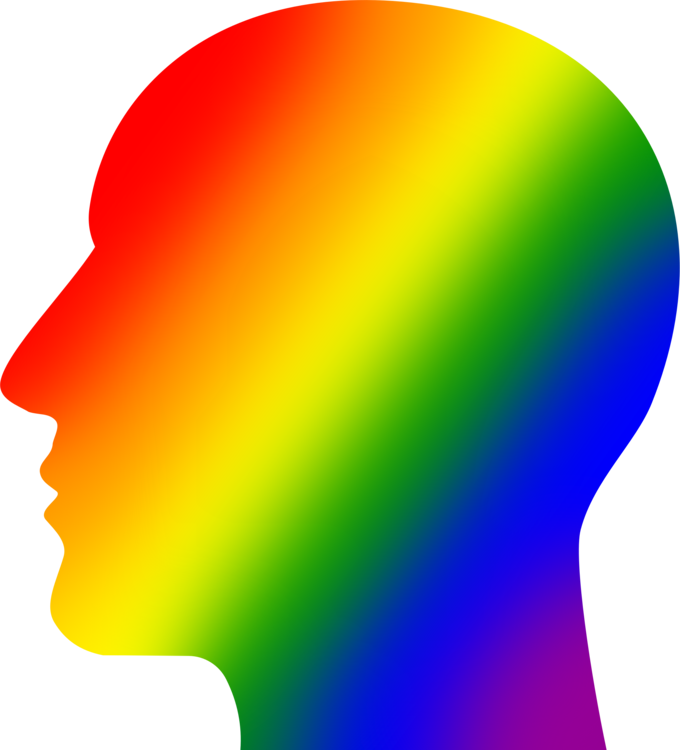 Lgbt Rainbow Flag Queer Lesbian - Rainbow Flag (680x750)