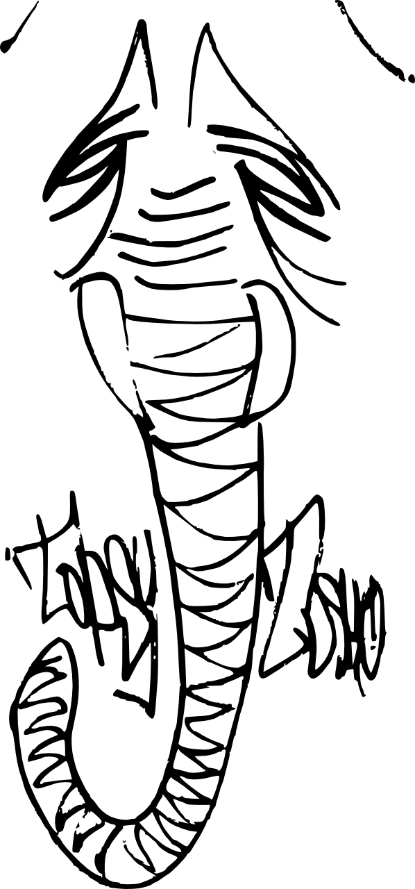 Phant 1280 - Elephant (598x1280)